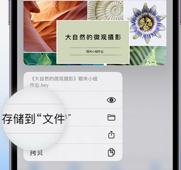 白云矿区apple维修中心分享iPhone文件应用中存储和找到下载文件