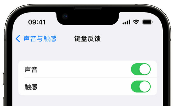 白云矿区苹果手机维修分享iPhone 14触感键盘使用方法 