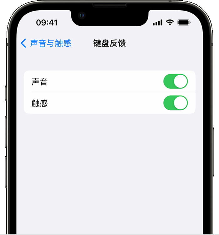 白云矿区苹果14维修店分享如何在 iPhone 14 机型中使用触感键盘 