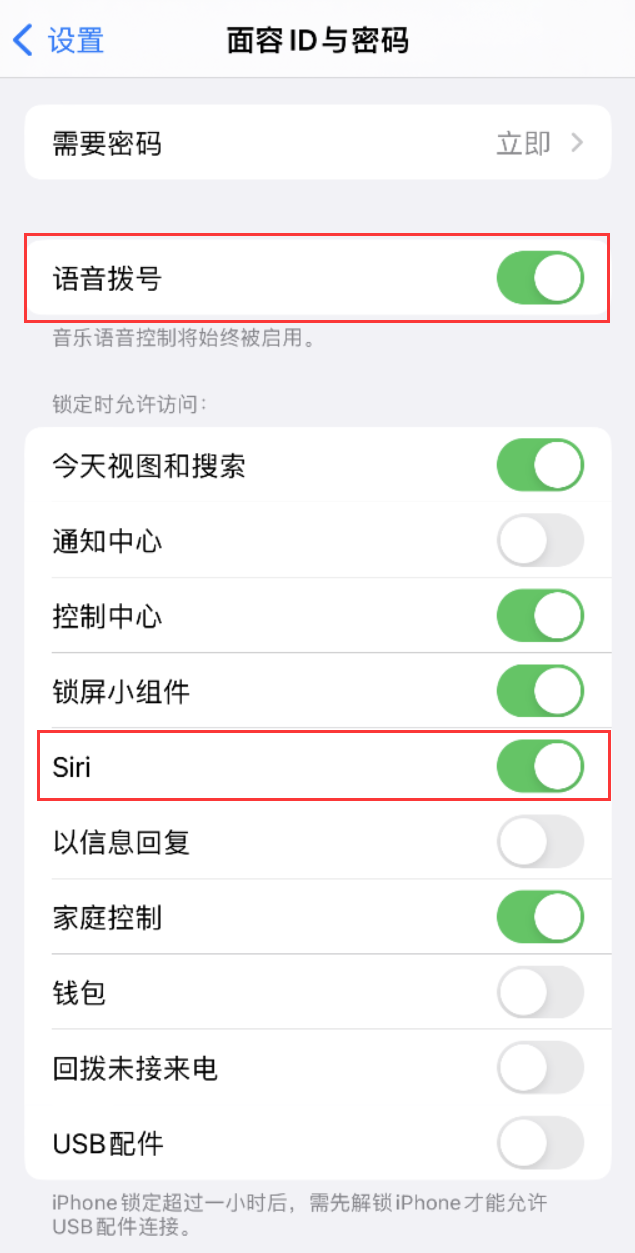 白云矿区苹果维修网点分享不解锁 iPhone 的情况下通过 Siri 拨打电话的方法 