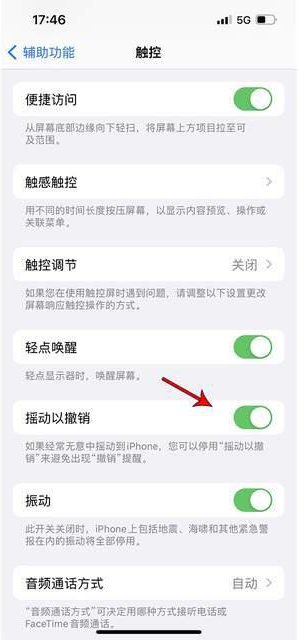 白云矿区苹果手机维修分享iPhone手机如何设置摇一摇删除文字 